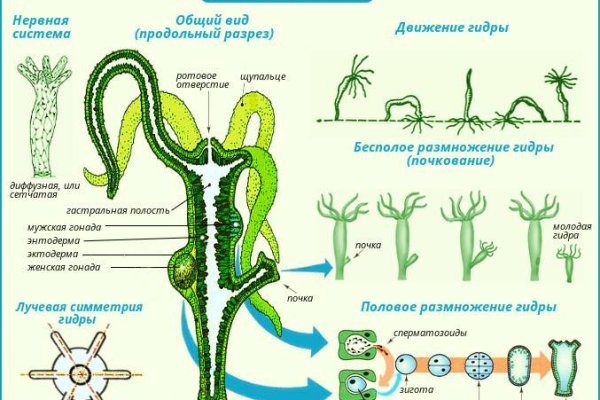 Kraken вход